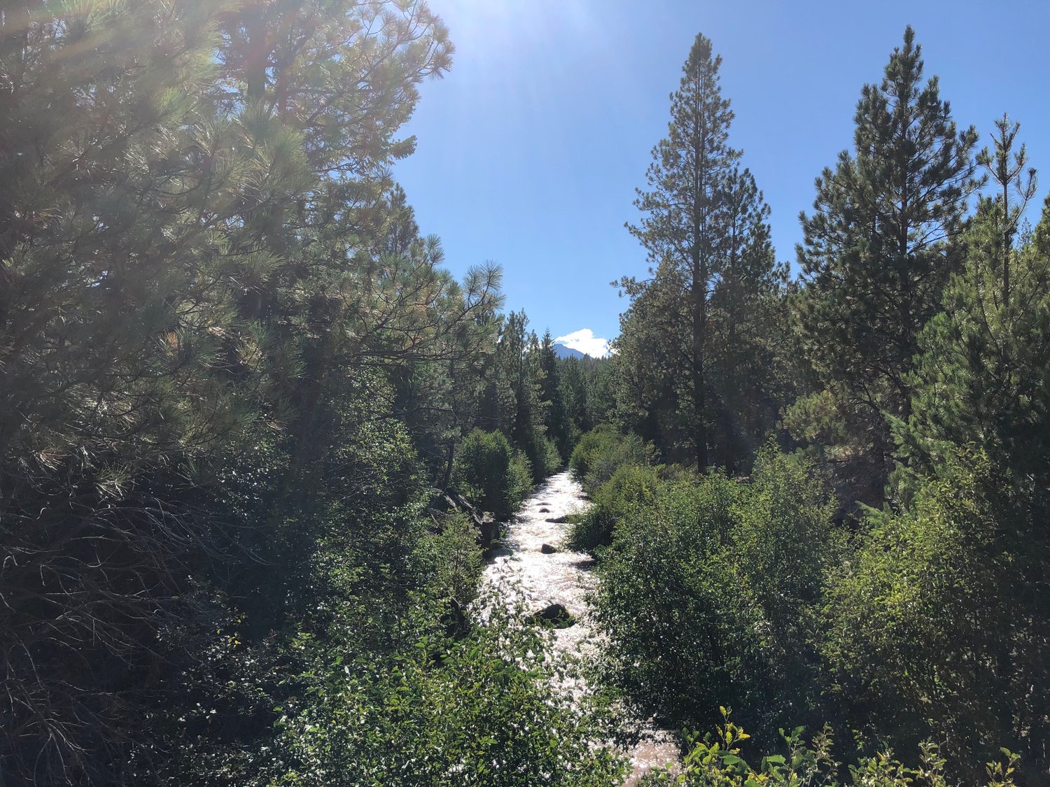 The Whychus Creek flows down from the Three Sisters Mountains from snowmelt on the mountains and creates the Whychus Watershed west of Sisters, OR.
