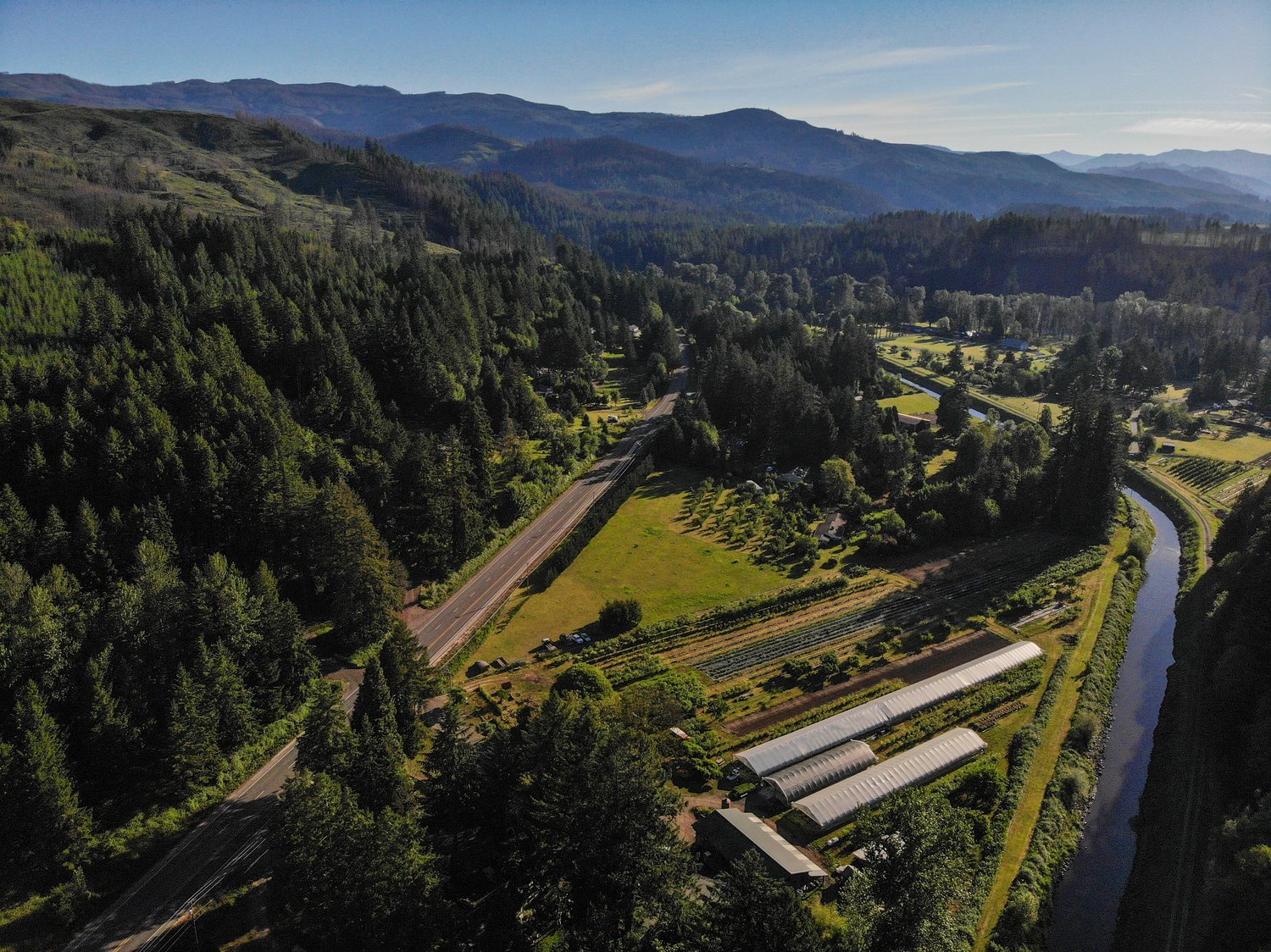 Organic Redneck Growers farm, situated between Highway 126 and Leaburg Canal. Burnt trees are visible in the background, a reminder of how the Holiday Farm fire burned within two miles of the farm.